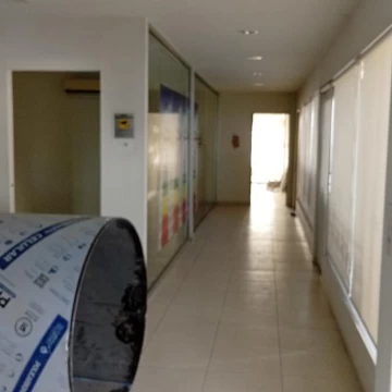 1785579496.jpg