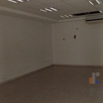 1785579498.jpg