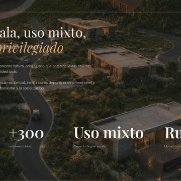 1785605165.jpg