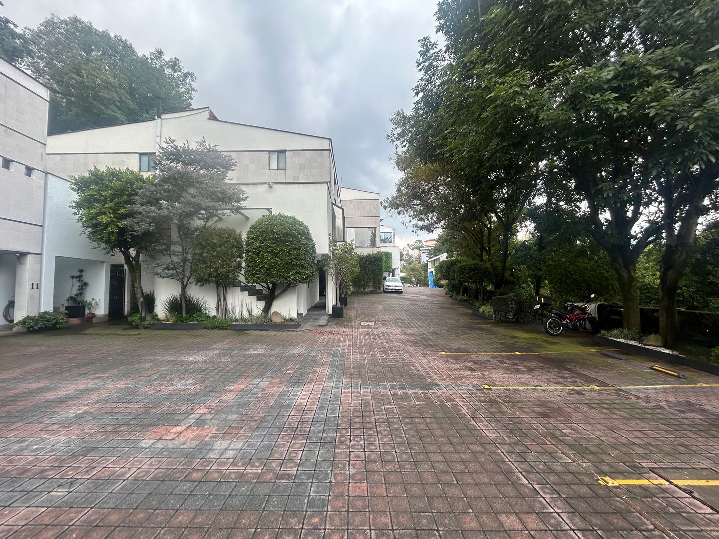 IMG_5002.jpeg