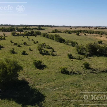 Campo Ganadero 137 has - Ideal Tambo -  Sobre Ruta -  Ranchos