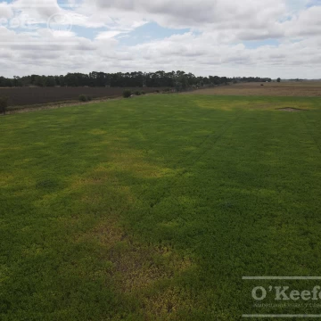 CAMPO MIXTO DE 77 HAS EN VENTA - A 7 KM DE RUTA 29 EN VILLANUEVA