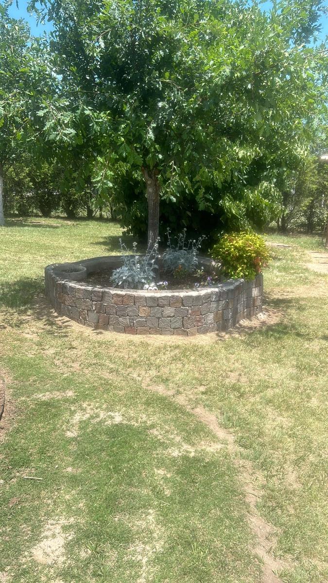 image 25