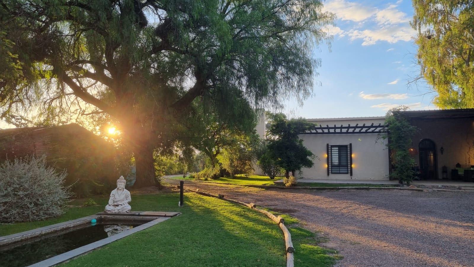 VENTA DE CASA Y VIÑEDO, CALLE LA POSTA S/N,JUNIN, CON TOUR VIRTUAL - Principal