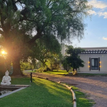 VENTA DE CASA Y VIÑEDO, CALLE LA POSTA S/N,JUNIN, CON TOUR VIRTUAL