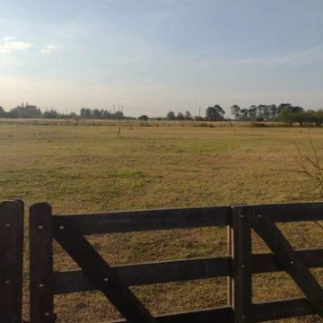 Lote de 10.000 m2, Sobre asfalto. Con escritura. A 2.000 mts de Ruta 2. Chascomús (Pcia de Bs As)