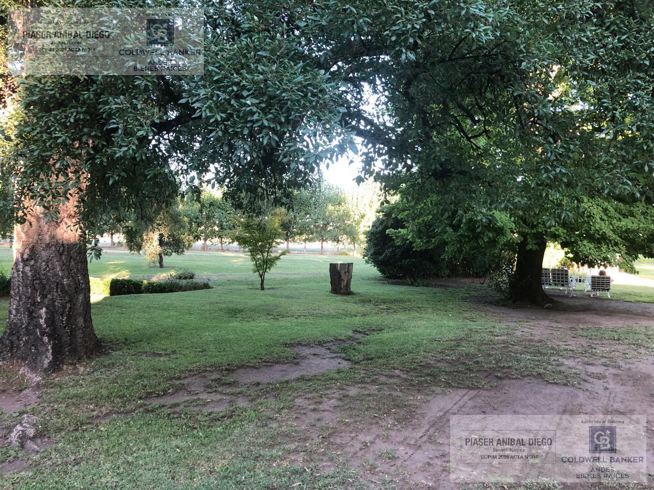 image 23