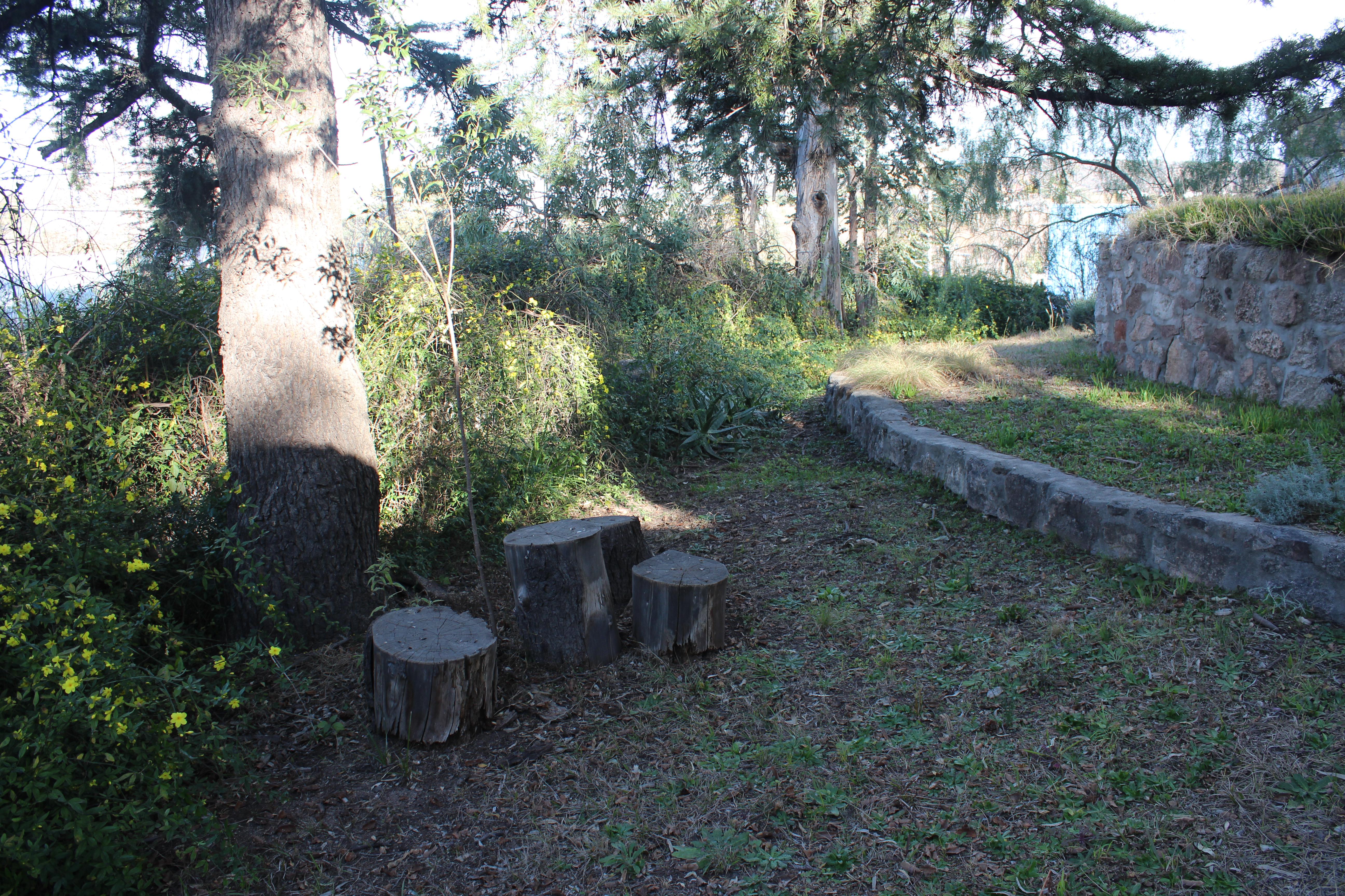 image 24