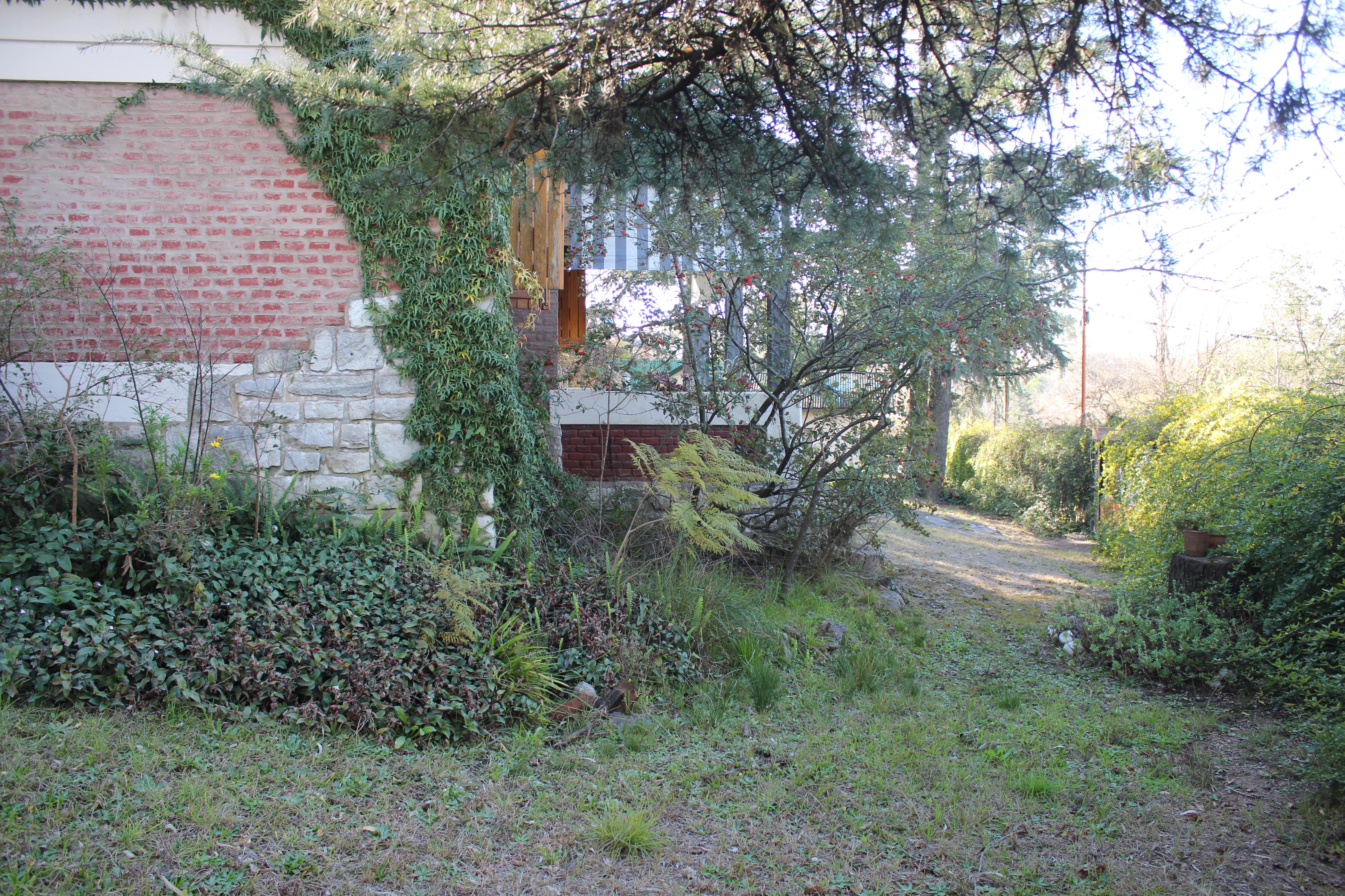 image 25