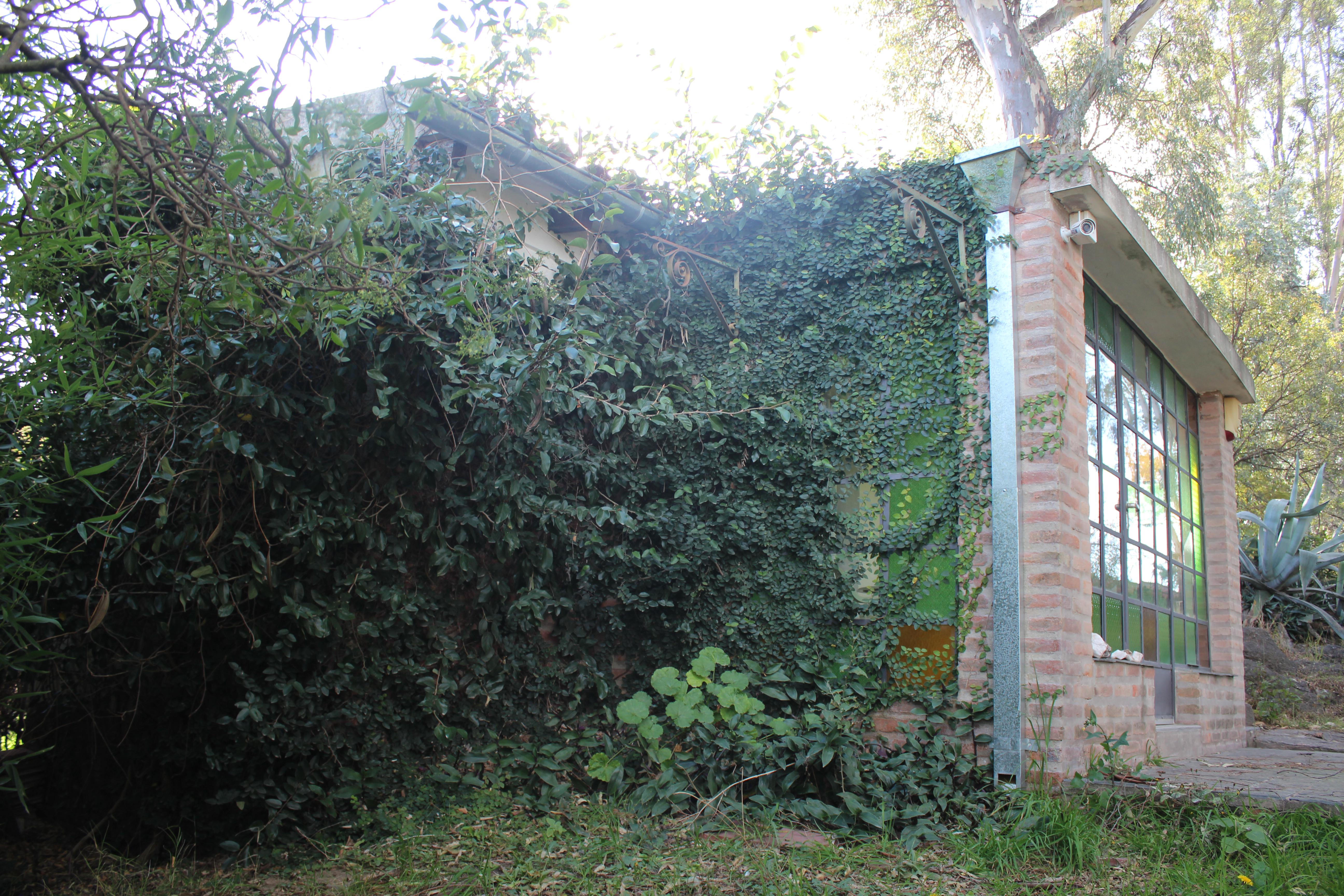 image 41