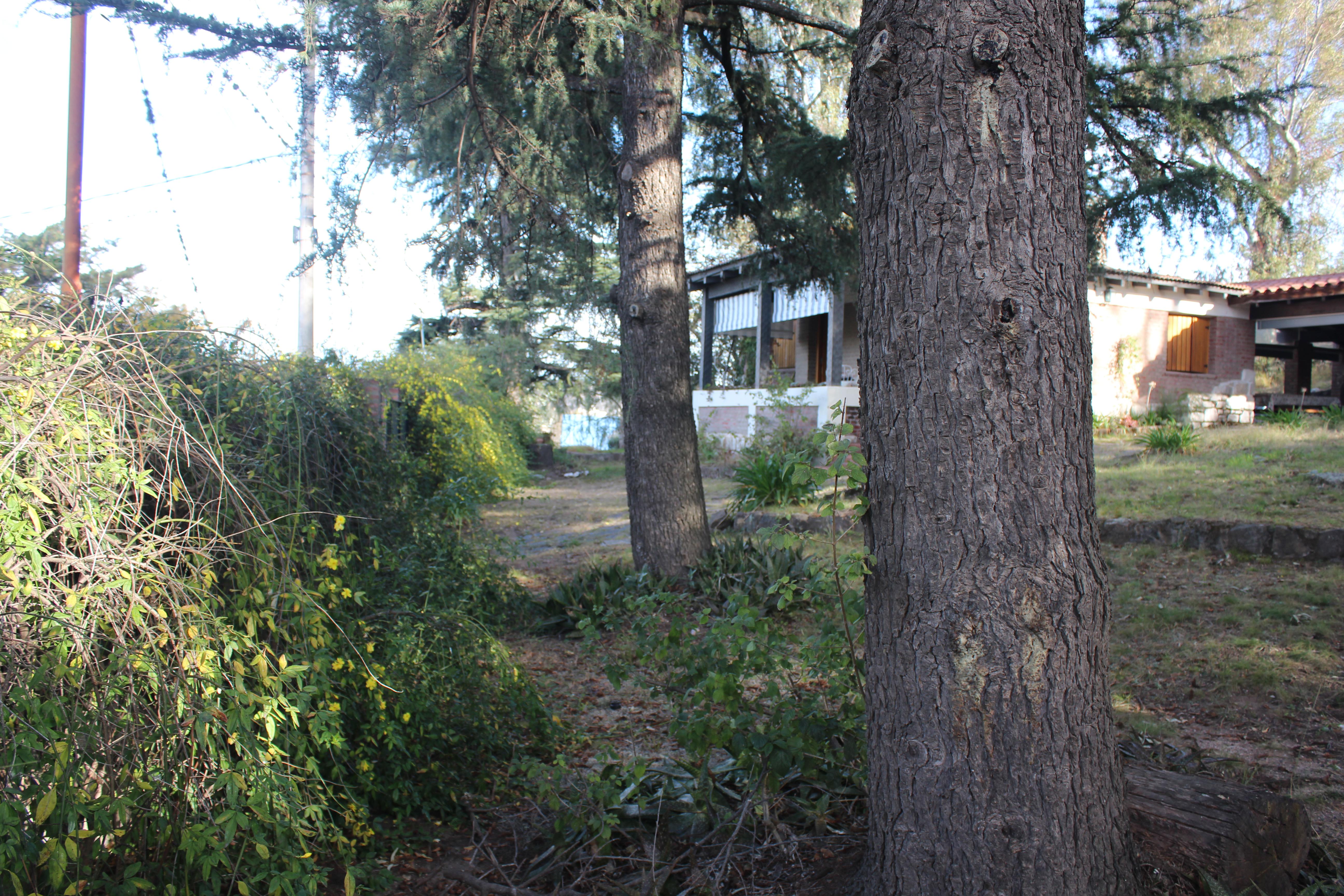 image 58