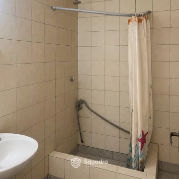 1785870848.jpg
