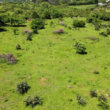 Terreno Residencial en venta en Malinalco
