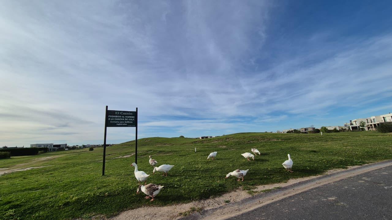 image 61