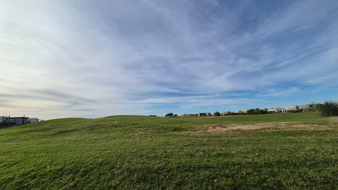 image 62