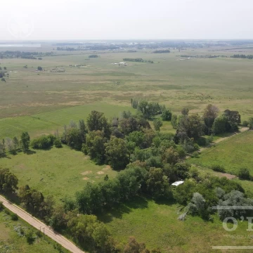 CAMPO 126 HAS CERCA DE RUTA 215 - PRODUCTIVO Y DISFRUTE - LA PLATA