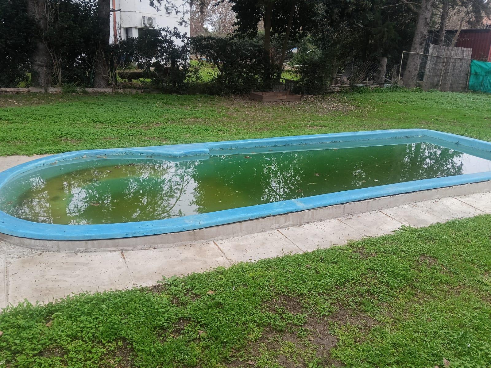 image 51