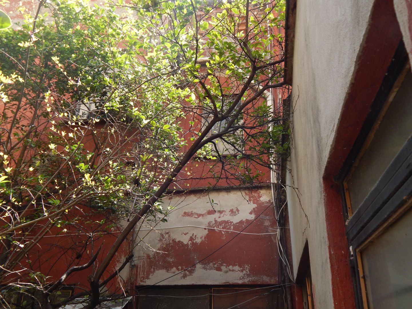 image 30