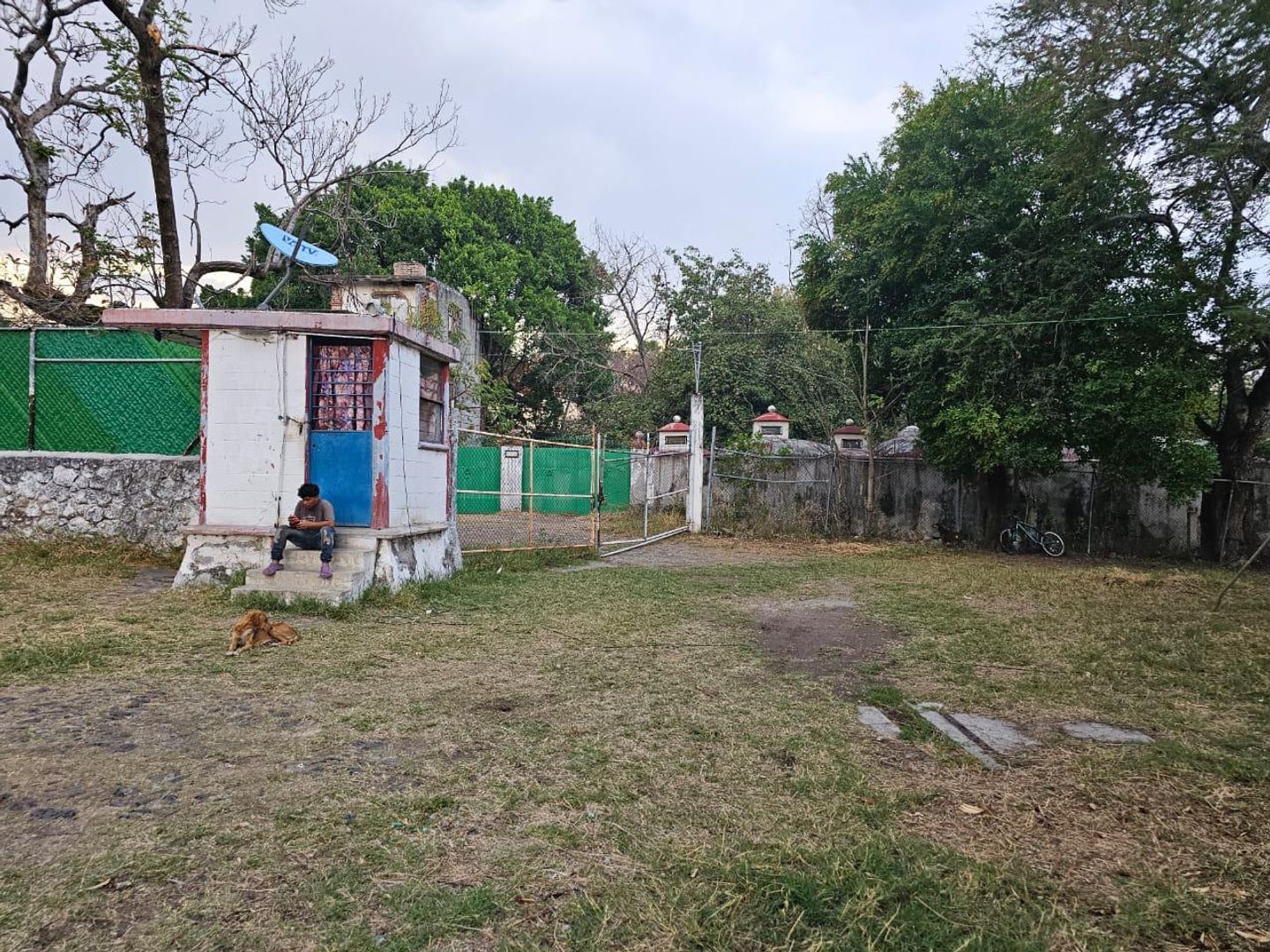 image 4
