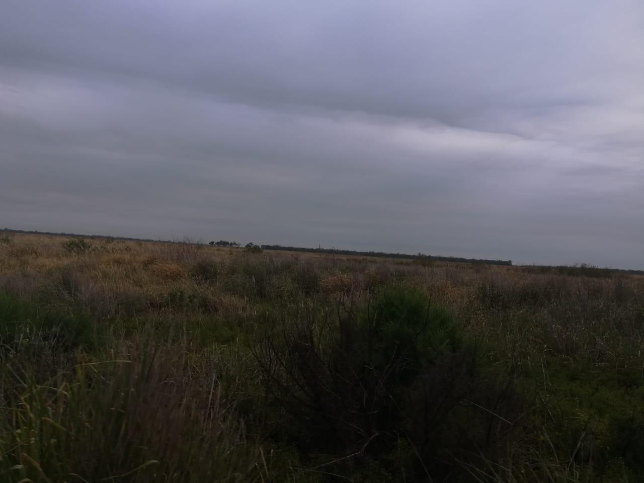 image 29