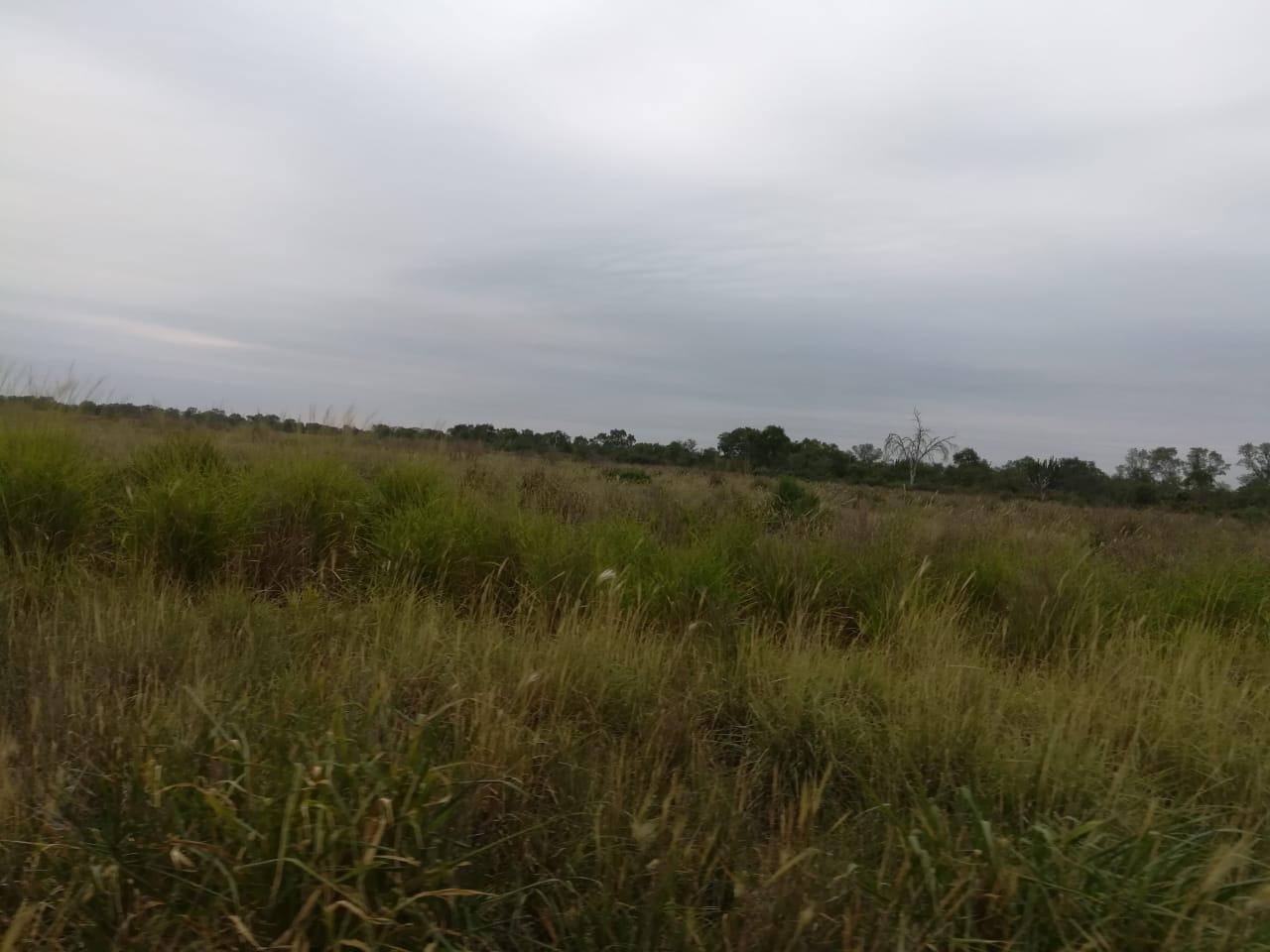 image 30