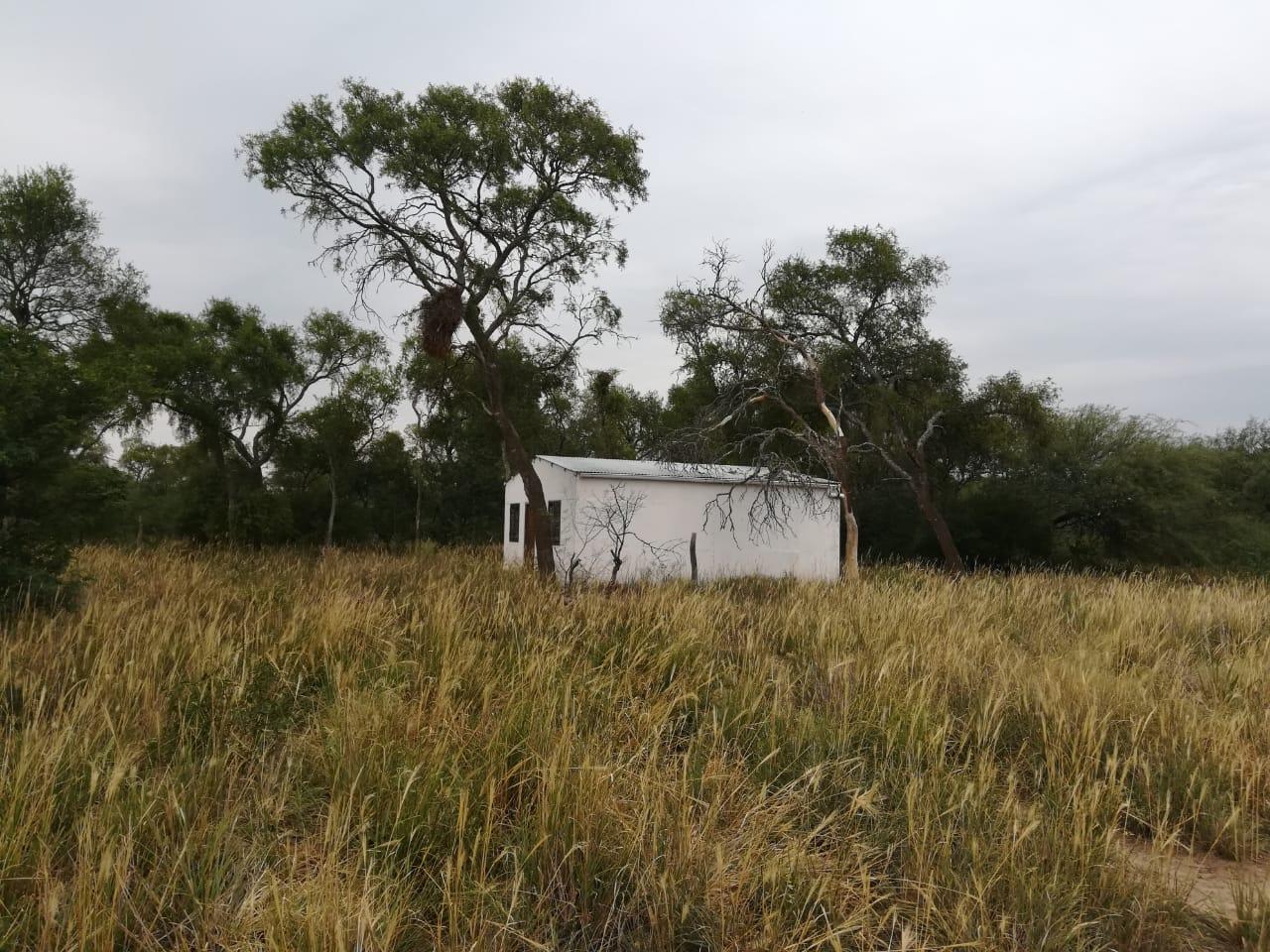 image 31