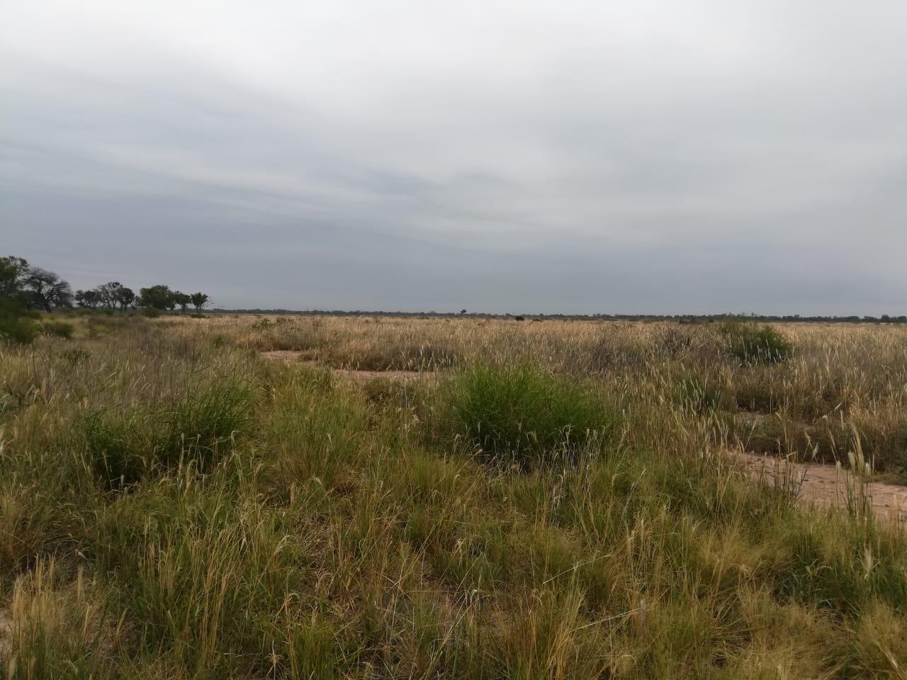 image 32
