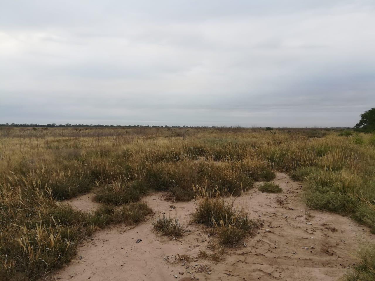 image 33