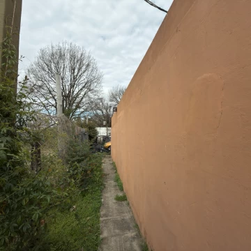 1786029442.jpg