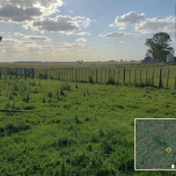CAMPO EN BRAGADO 110 Hectáreas, GANADERO, APTO FEEDLOT