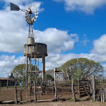 Campo ganadero y arrocero en zona centro de Corrientes