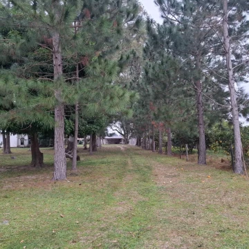 9000ha en Santa Rosa, Corrientes 