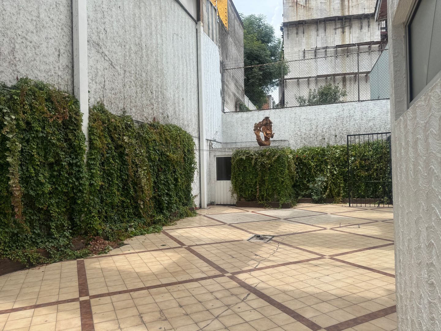 IMG_2655.jpeg