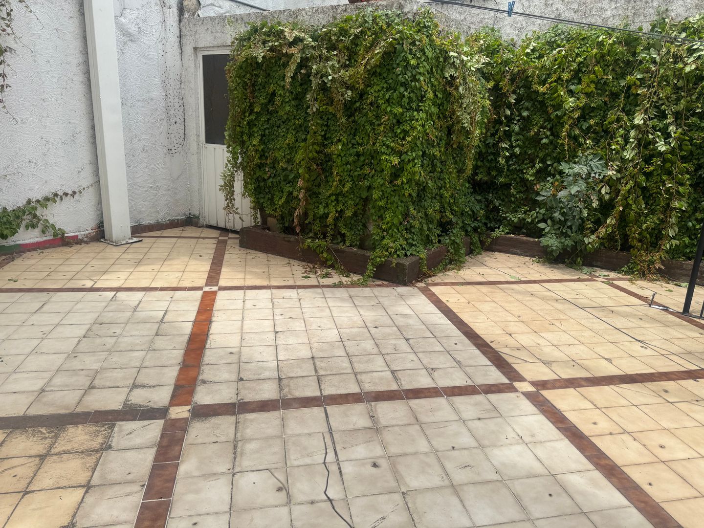 IMG_2661.jpeg
