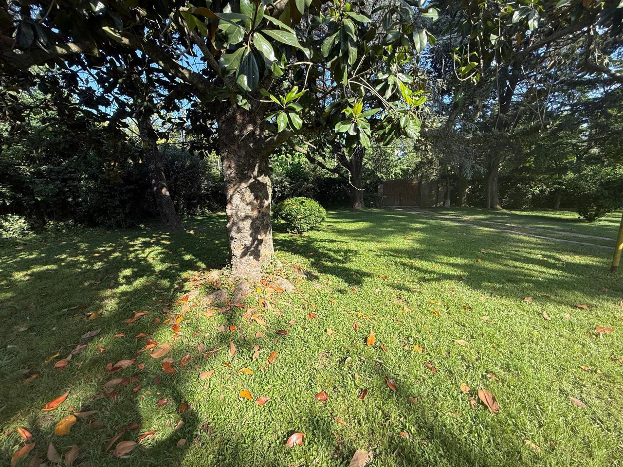image 26