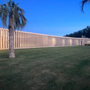 1786047162.jpg