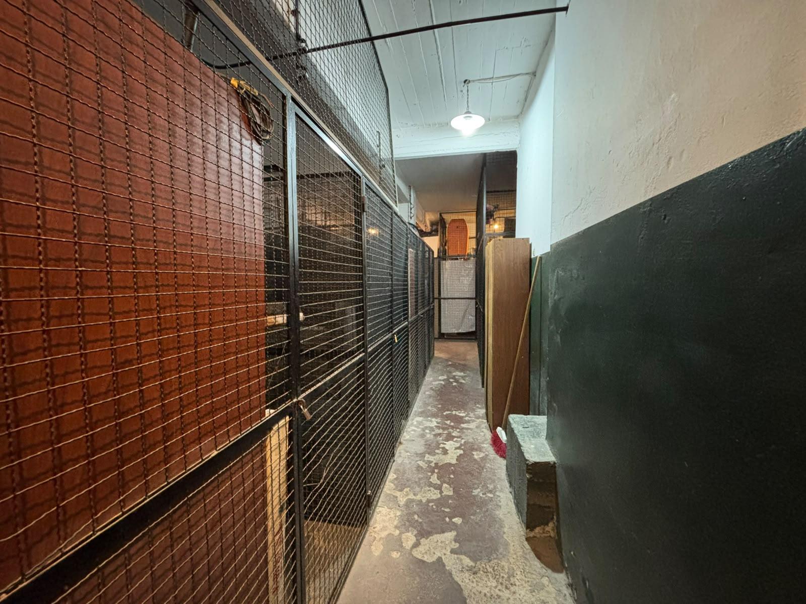 image 31