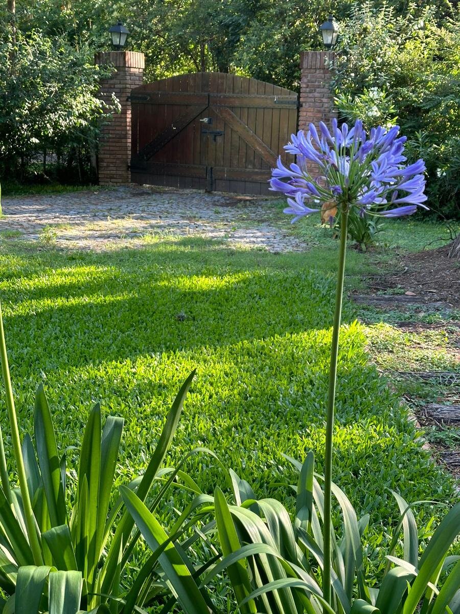 image 29