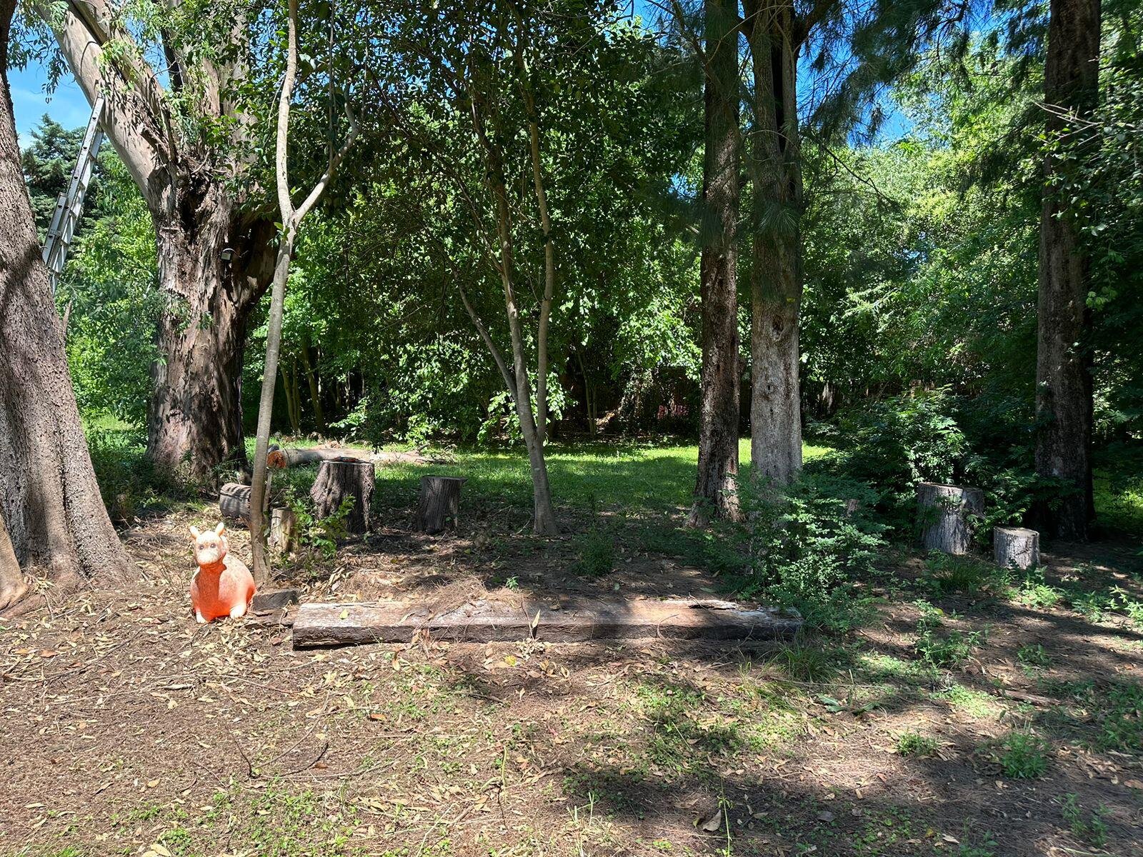 image 68