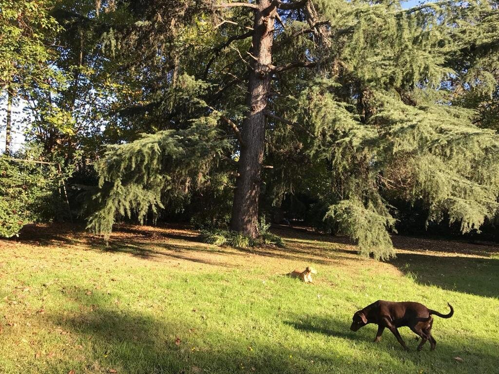 image 37