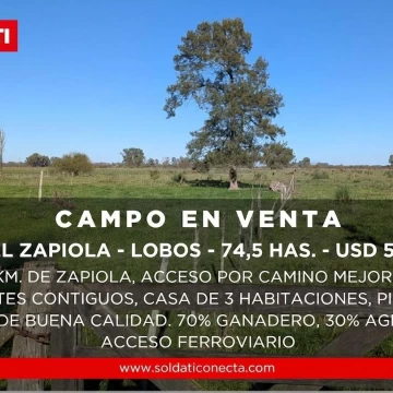 Campo Mixto de 74,5 Has en Zapiola con Casa, Pileta y Excelente Acceso - Venta
