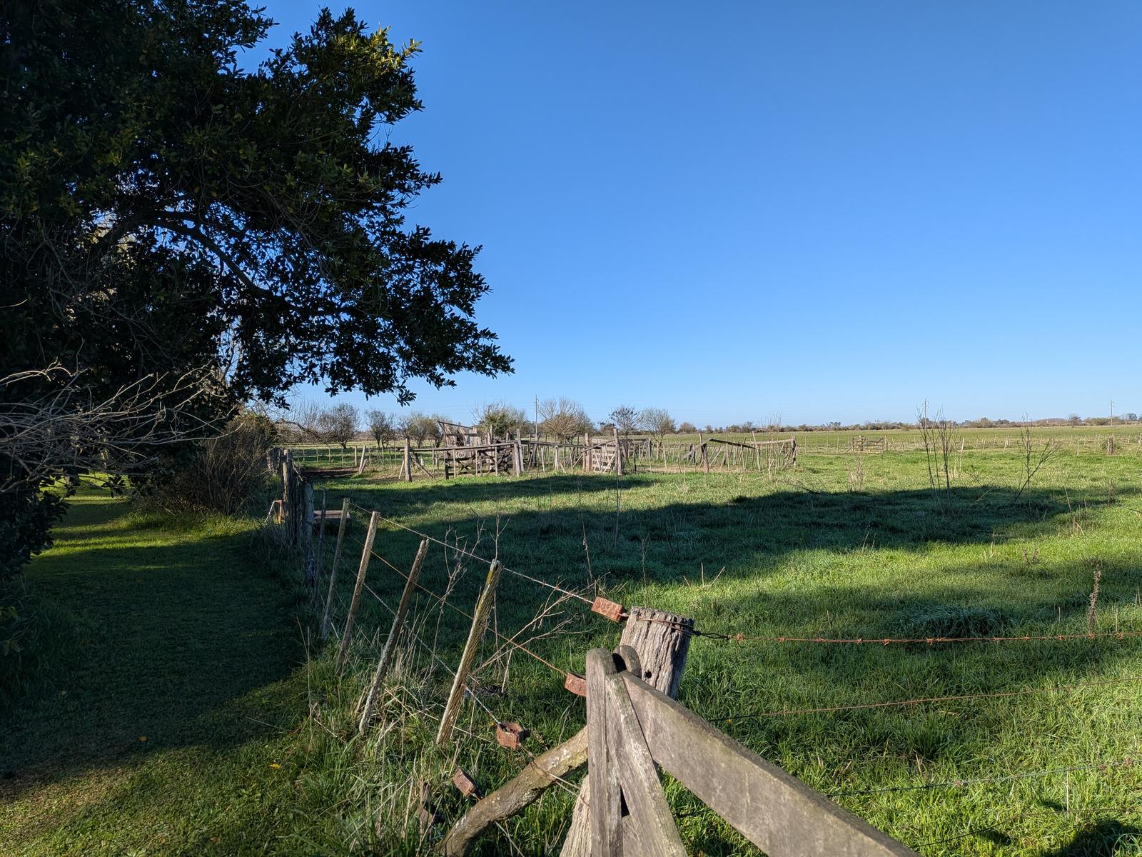 image 14