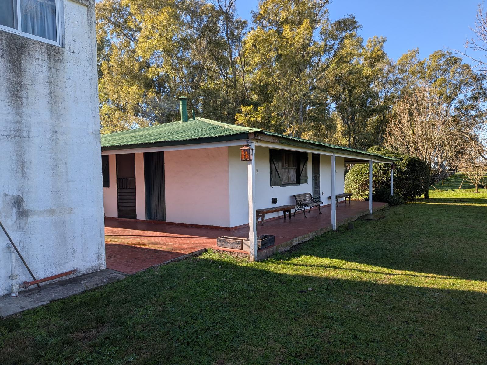 image 19