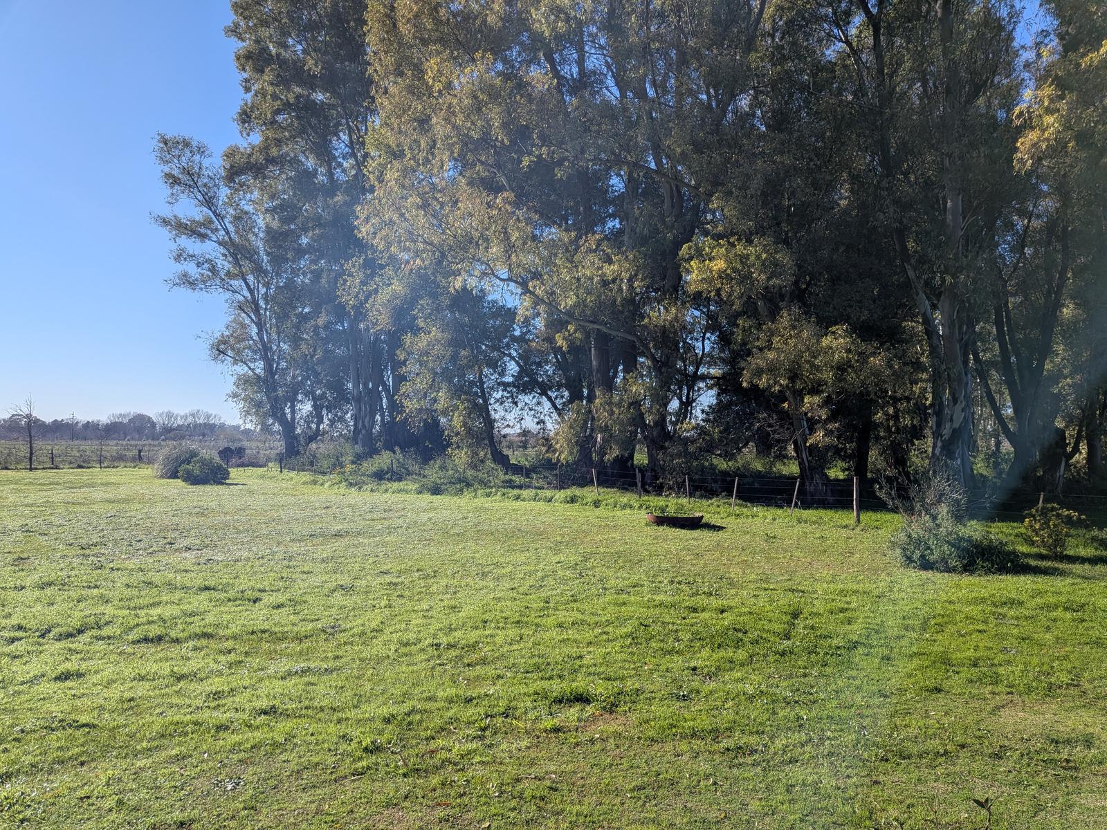 image 34