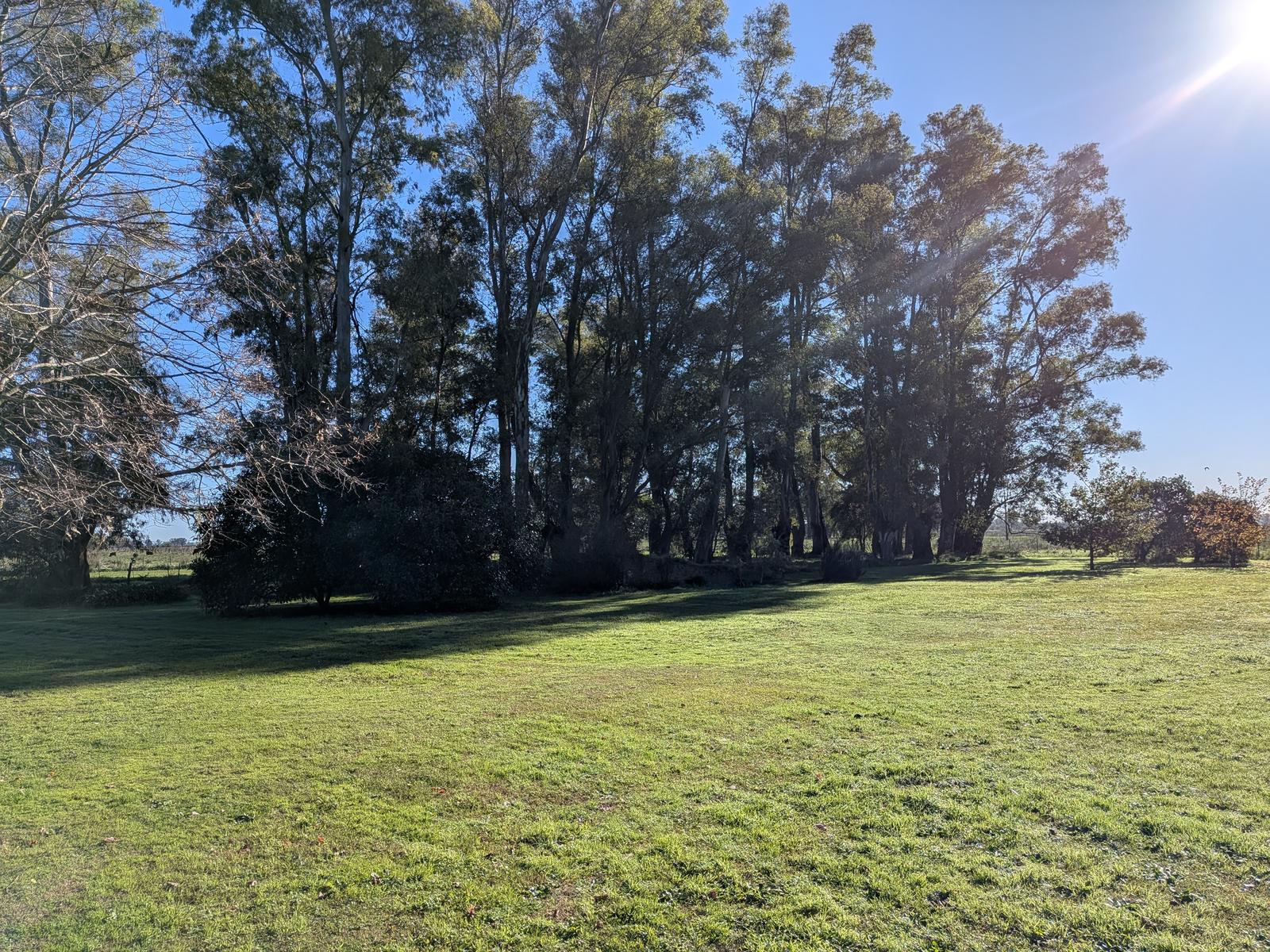 image 35