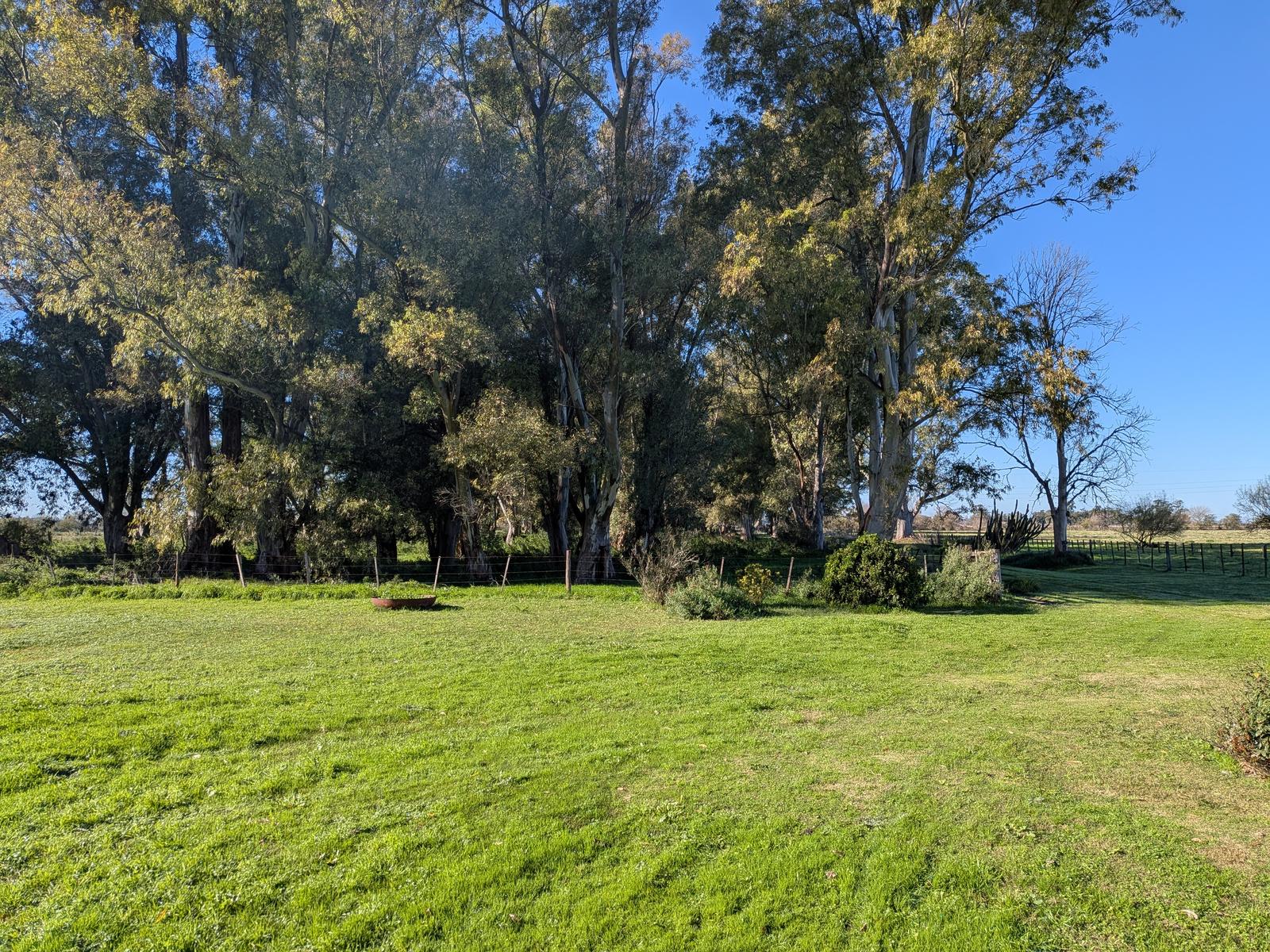 image 36