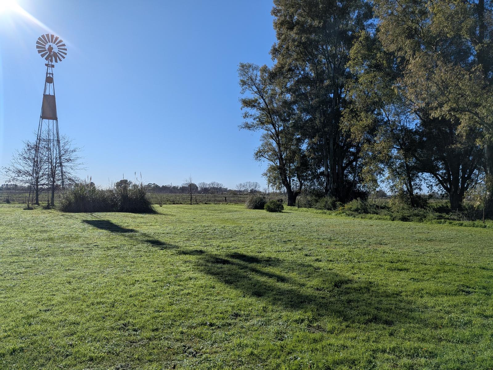 image 37