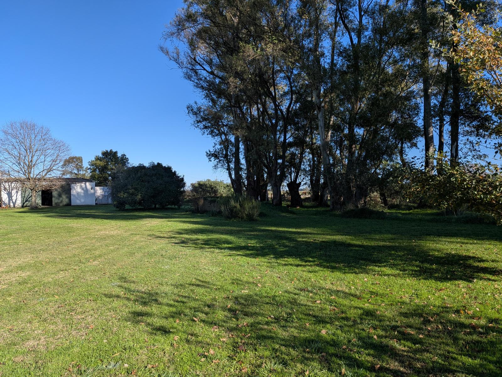 image 40