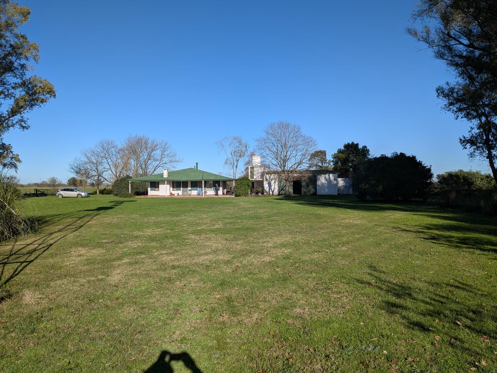 image 41