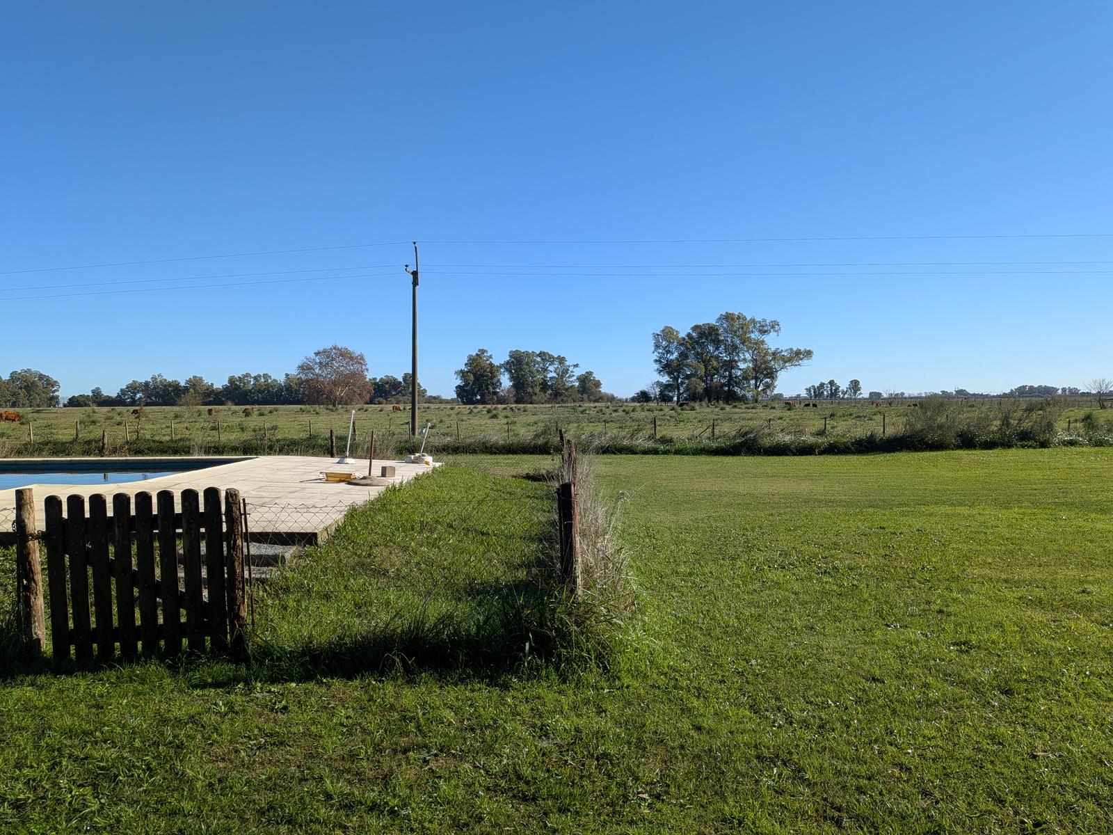 image 49